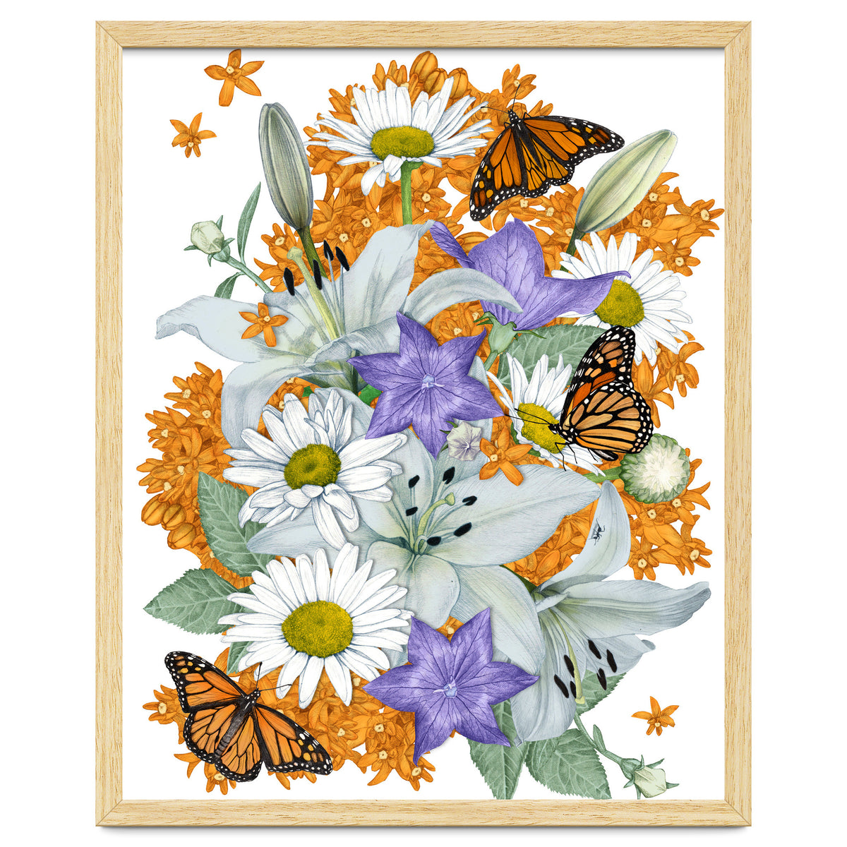 Lillies and Monarchs