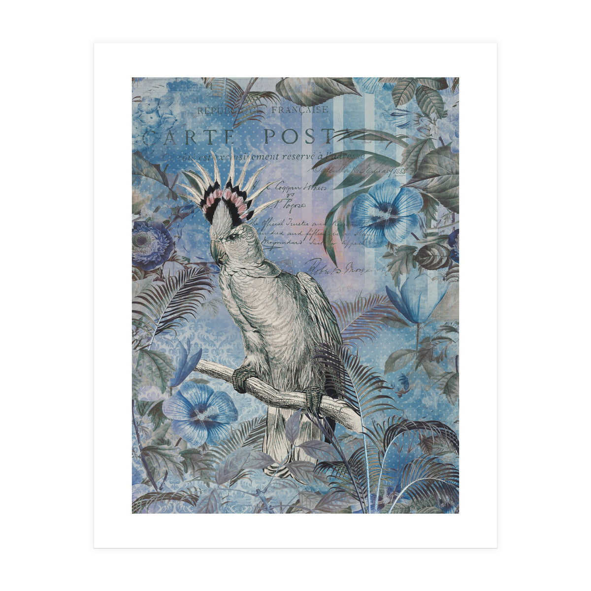 Jungle Cockatoo Blue (Print Only)