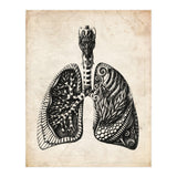 Lungs Anatomy (Print Only) thumbnail
