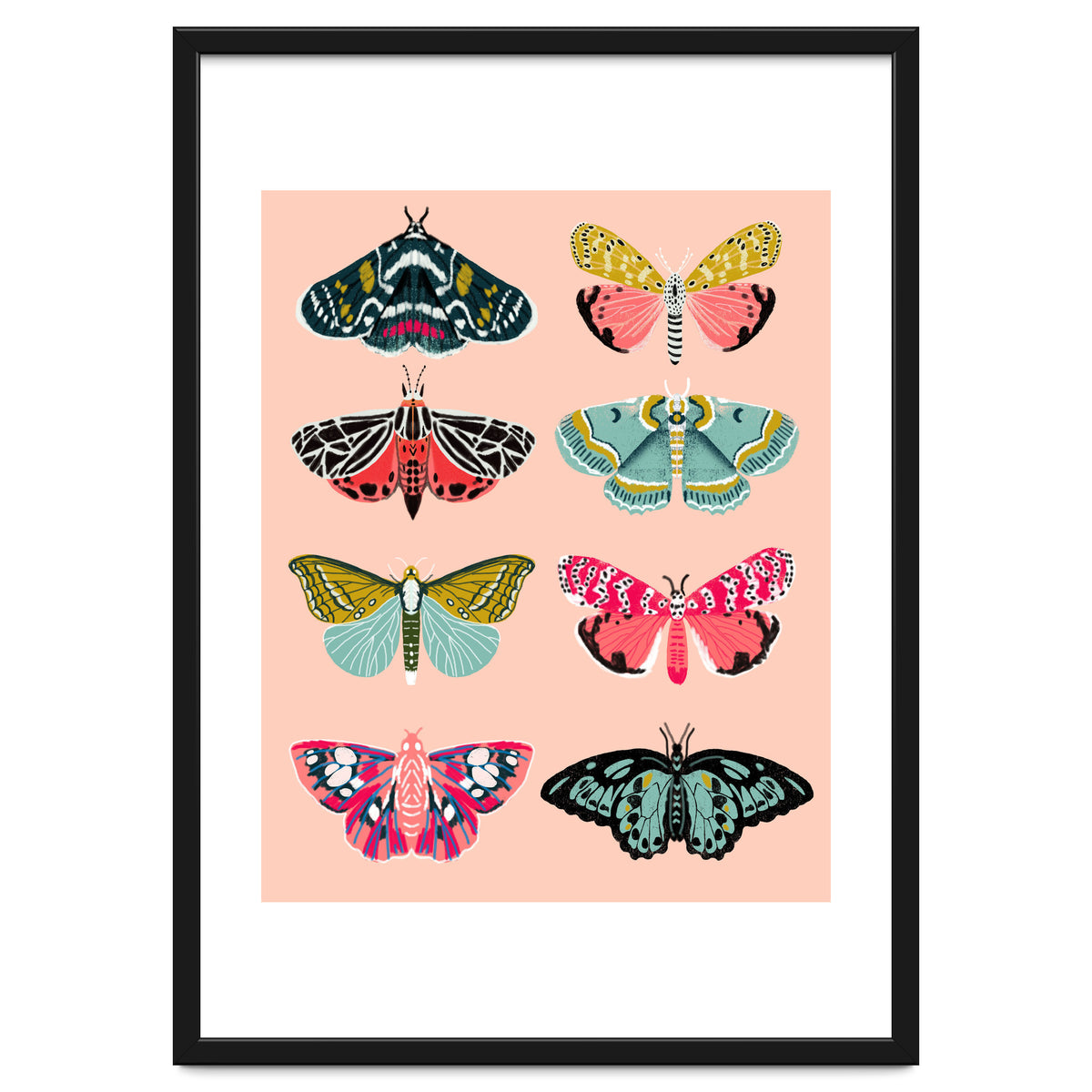 Lepidoptery No. 1