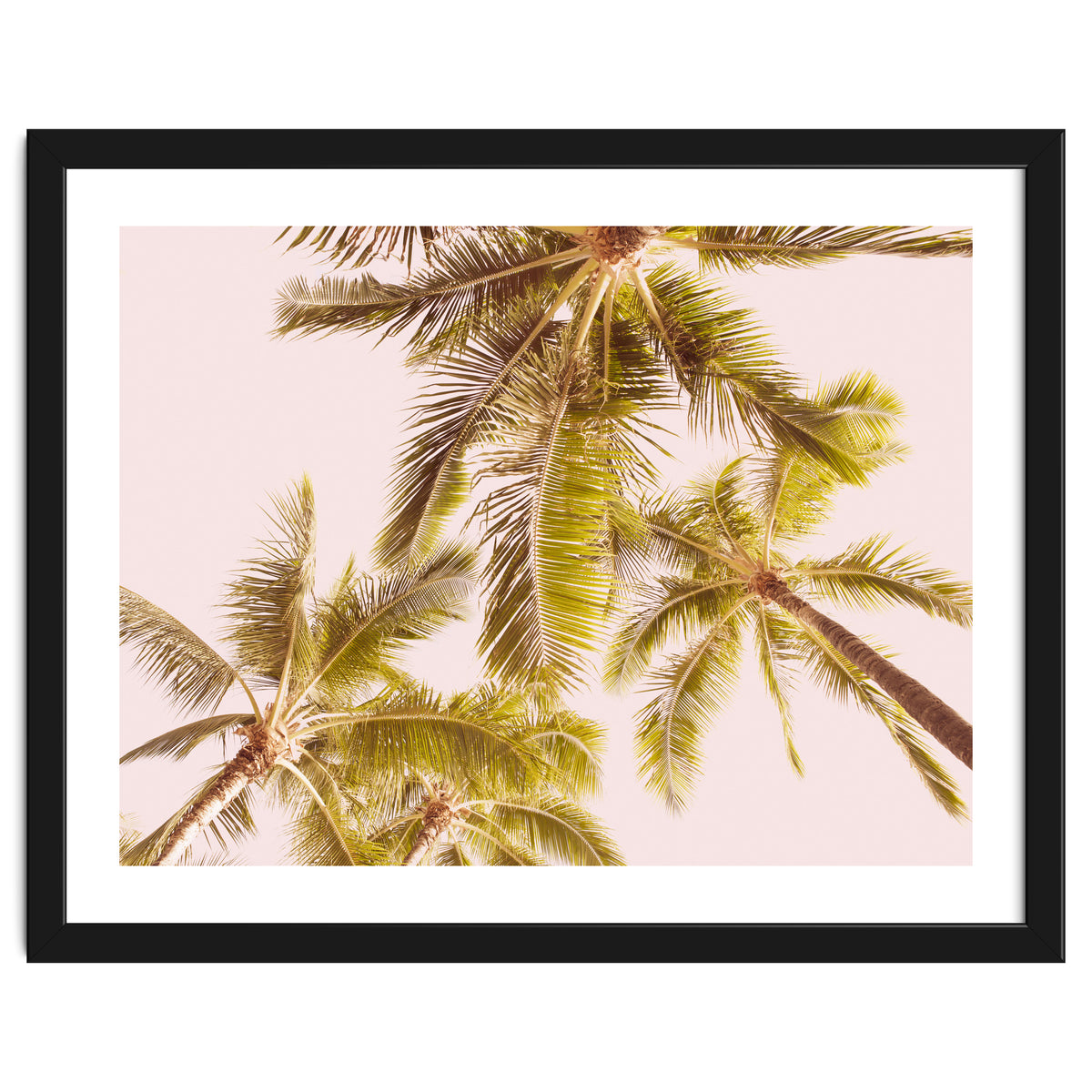 Blush Pink Boho Palm Trees