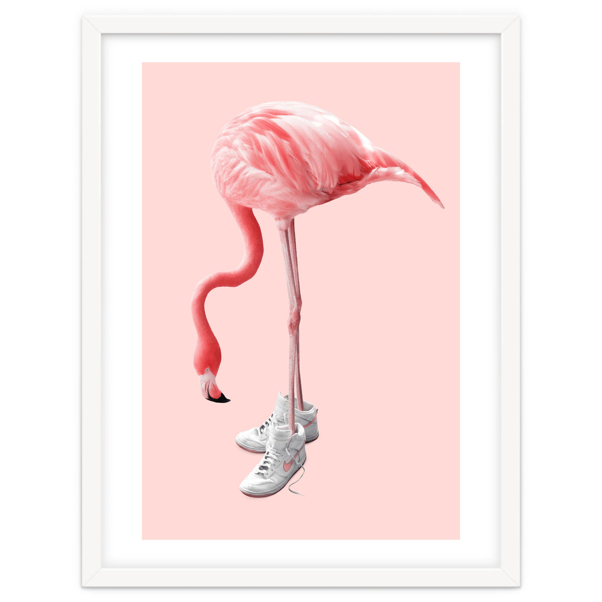 Sneaker Flamingo