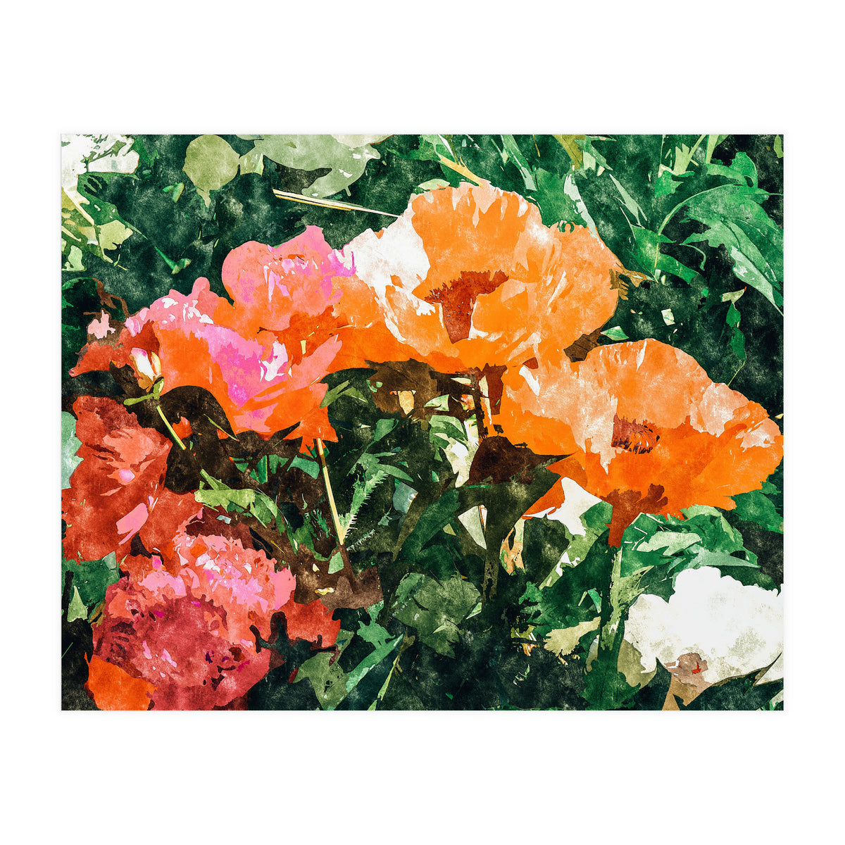Blossoming Florals (Print Only)