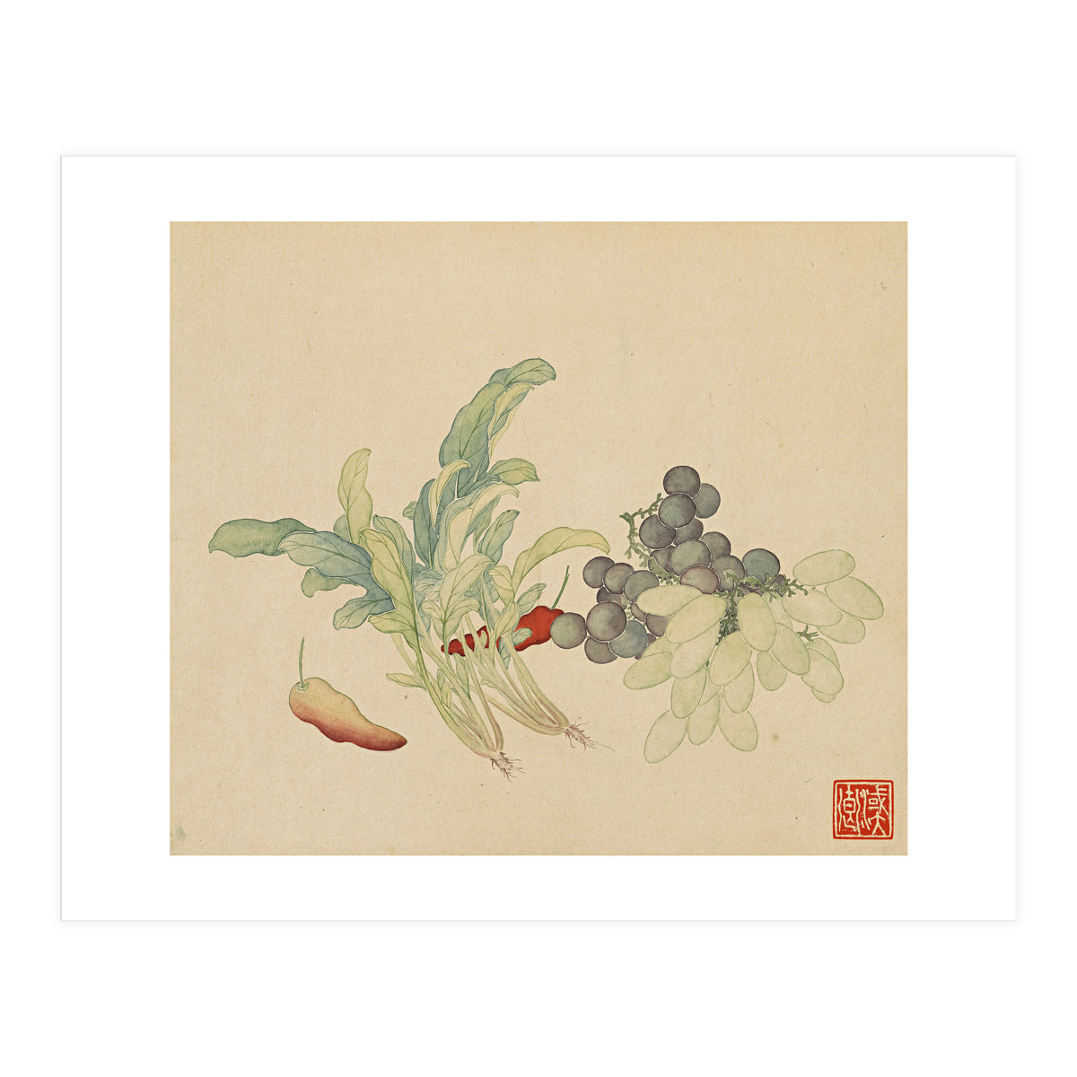 Wang Chengyu ~ Flowers And Vegetables, Vegetables, Fruits, Peppers, Millet Hot, Grapes, Spinach (Print Only)