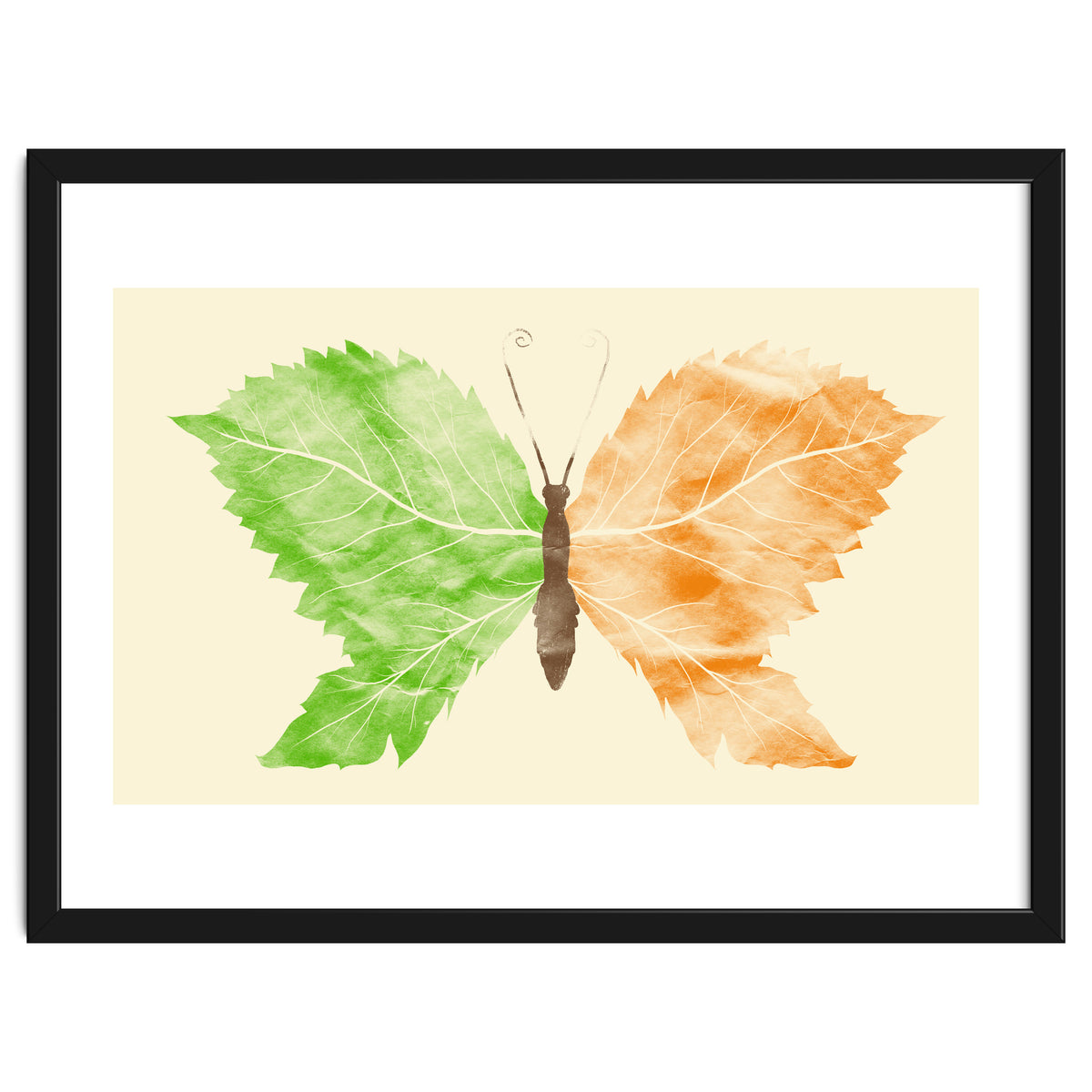 Seasons Change Time Flies