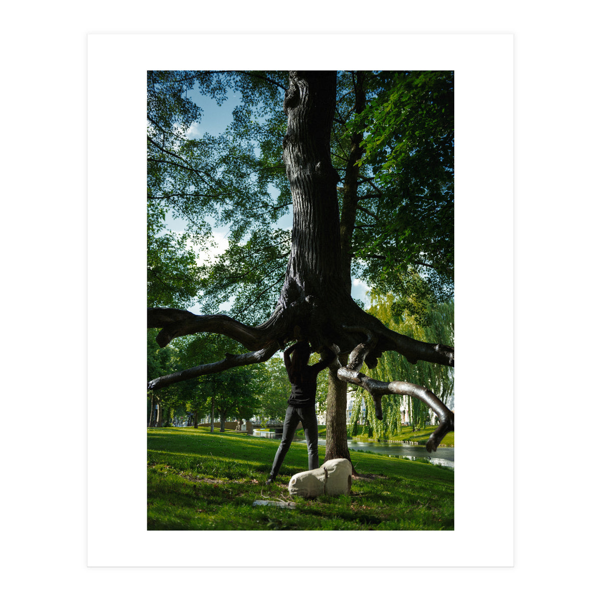 The Devil's Tree (Print Only)