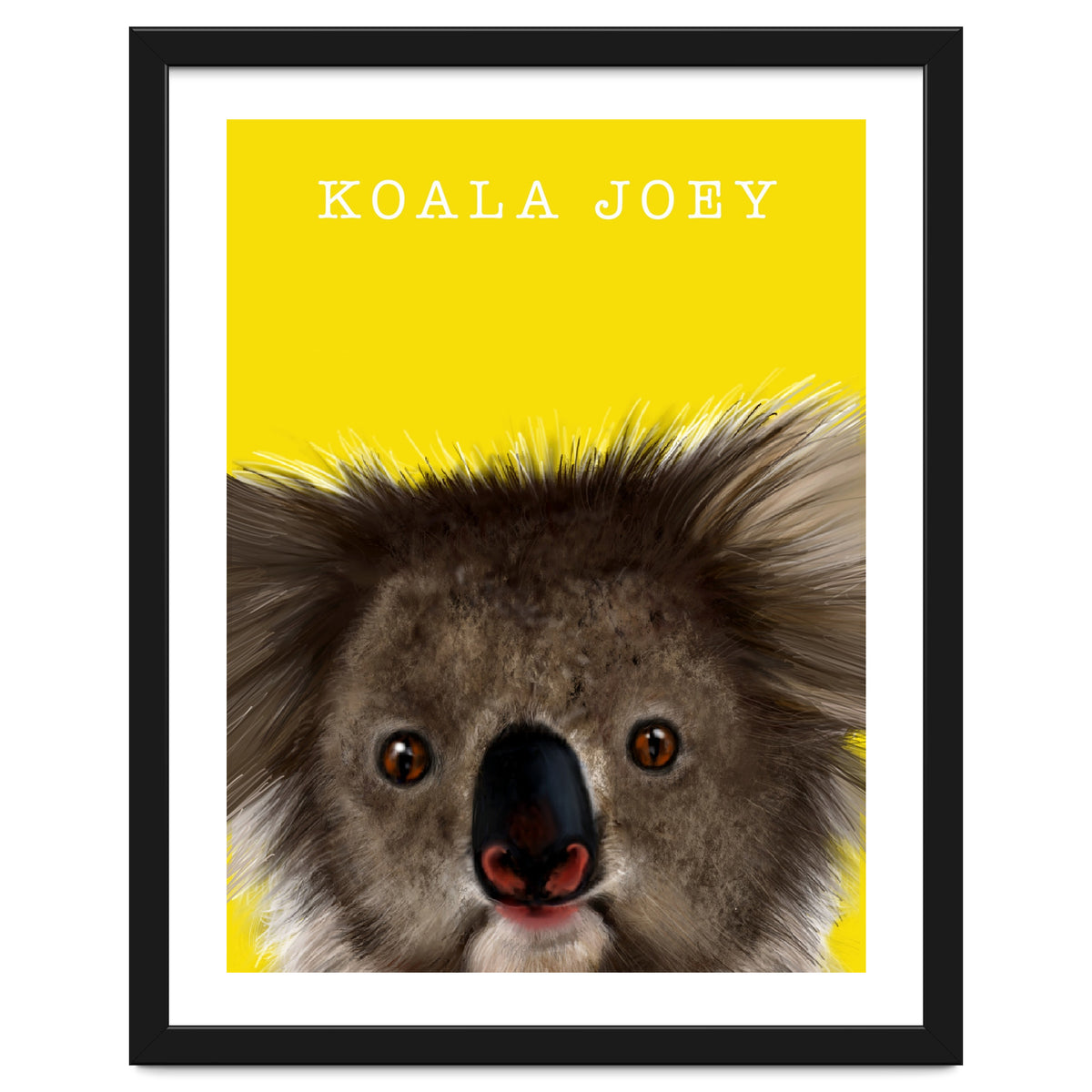 Koala Joey