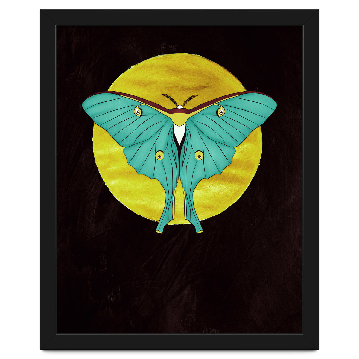 Luna Moth Moon
