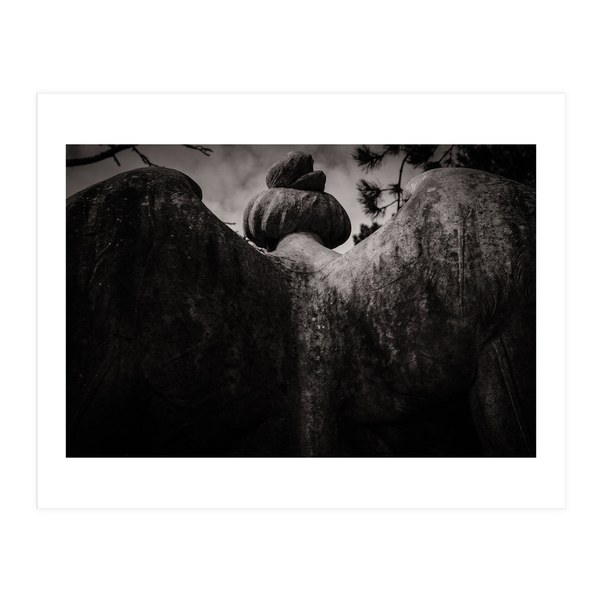 Angel Wings (Print Only)