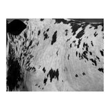 Abstract #3 (Print Only) thumbnail