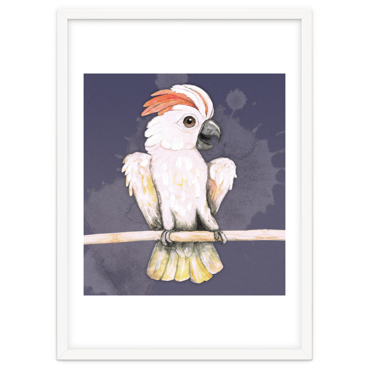 Salmon-crested cockatoo