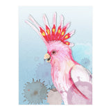 Major Mitchell's cockatoo (Print Only) thumbnail