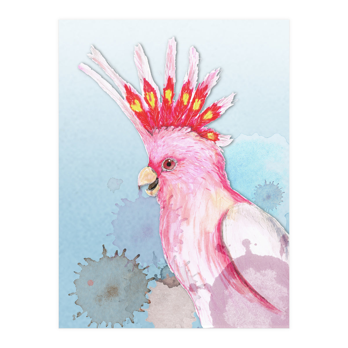 Major Mitchell's cockatoo (Print Only)