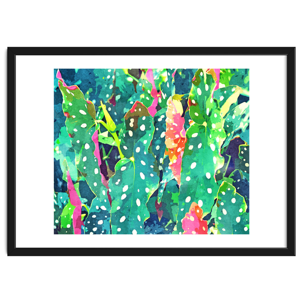 The Polka Dots Plant