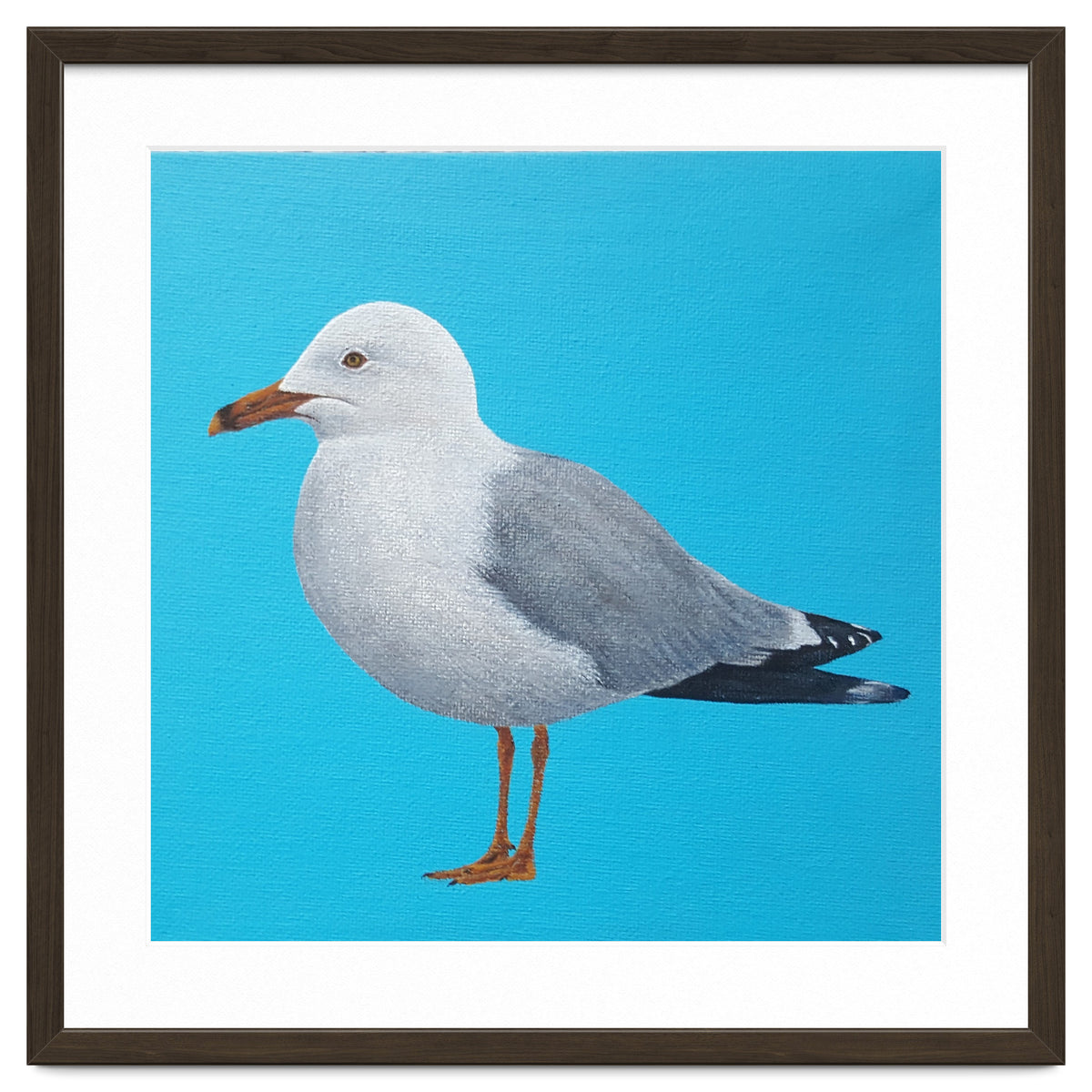 Seagull