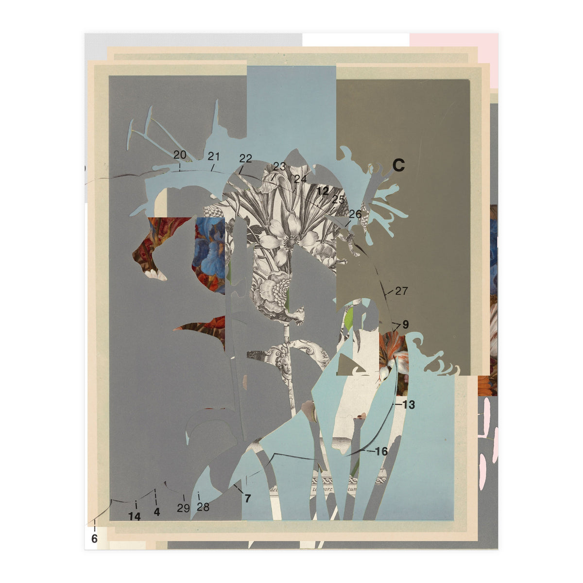 The First Plant · D (Print Only)