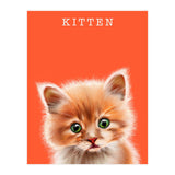 Kitten (Print Only) thumbnail