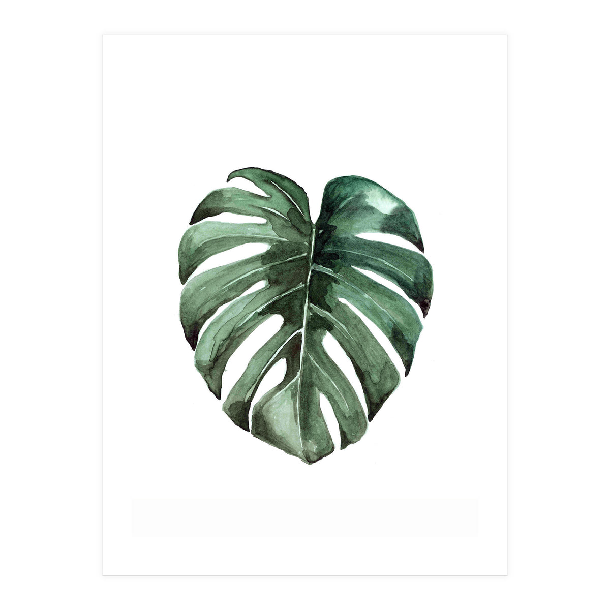 Botanical Illustration Monstera Deliciosa (Print Only)