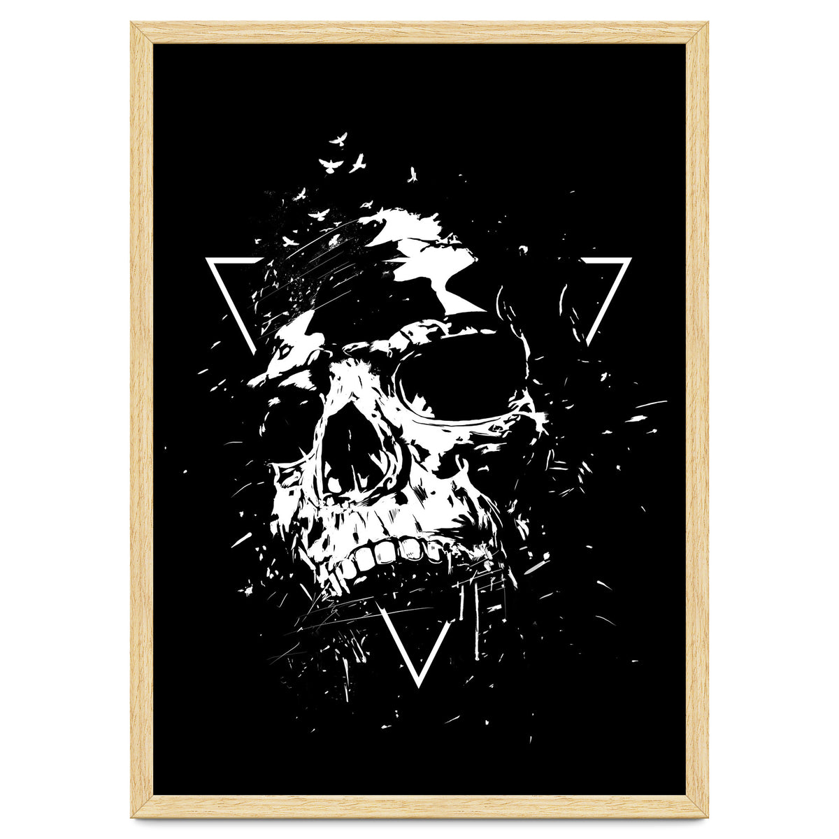 Skull X (Bw)