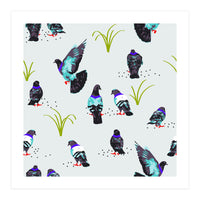 Pigeons (Print Only)