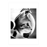 Astrocat (Print Only) thumbnail