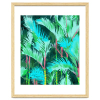 Palm Forest