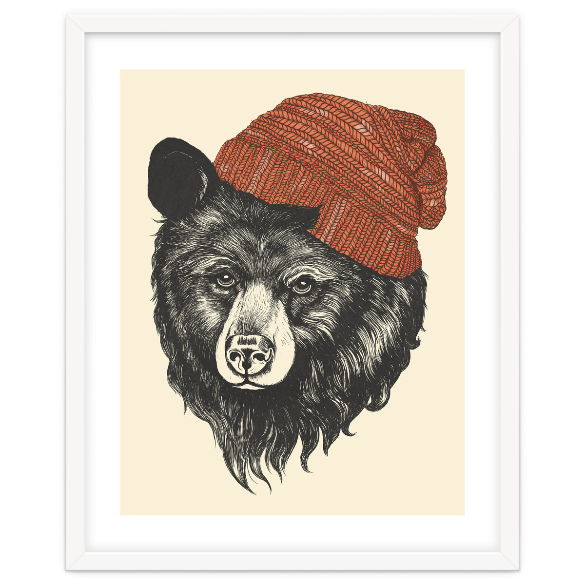 Zissou The Bear