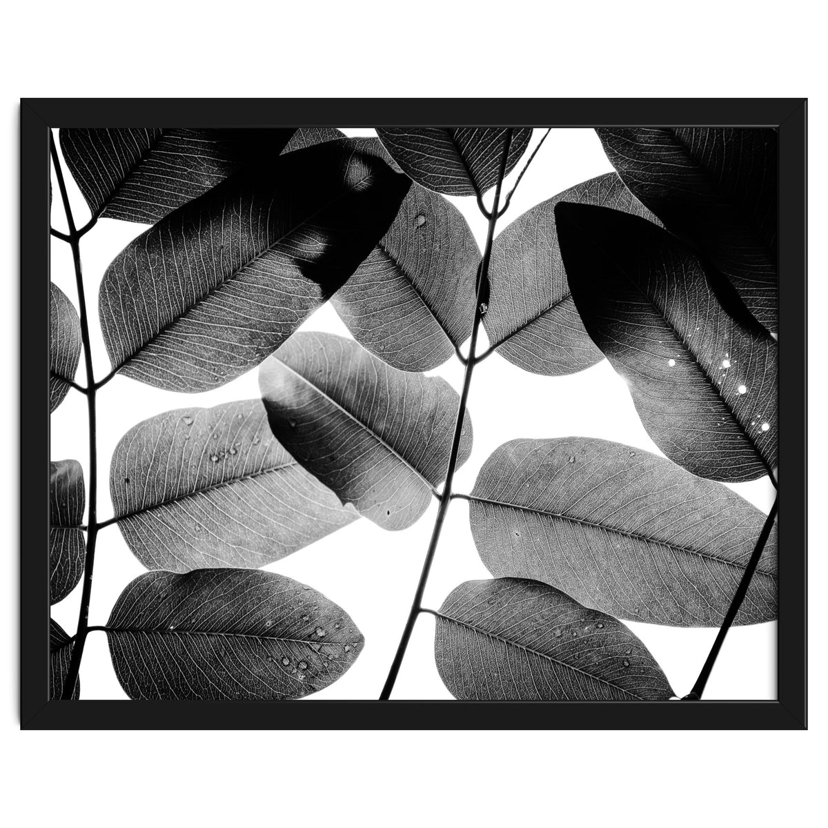 Experiments with Leaves II