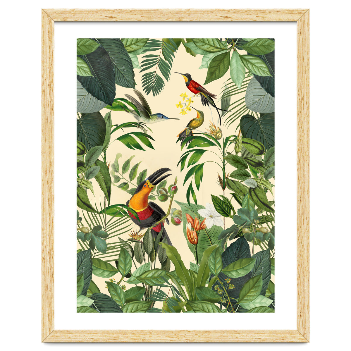 Green Jungle Toucans