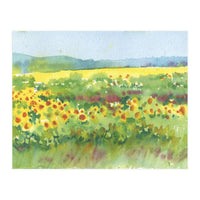 Sunflowers field  (Print Only)
