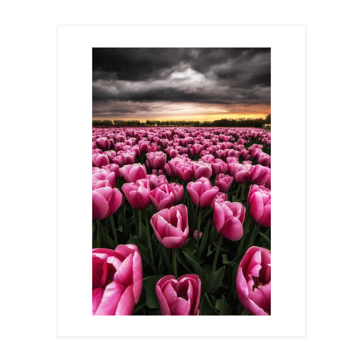 Spring Palette (Print Only)