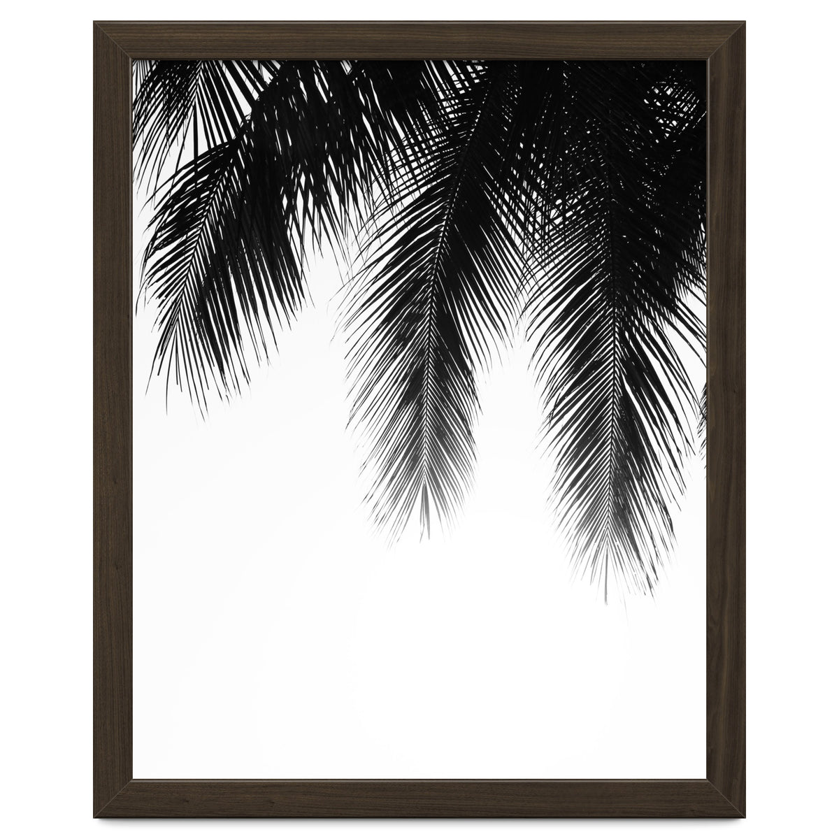 Palm leaves