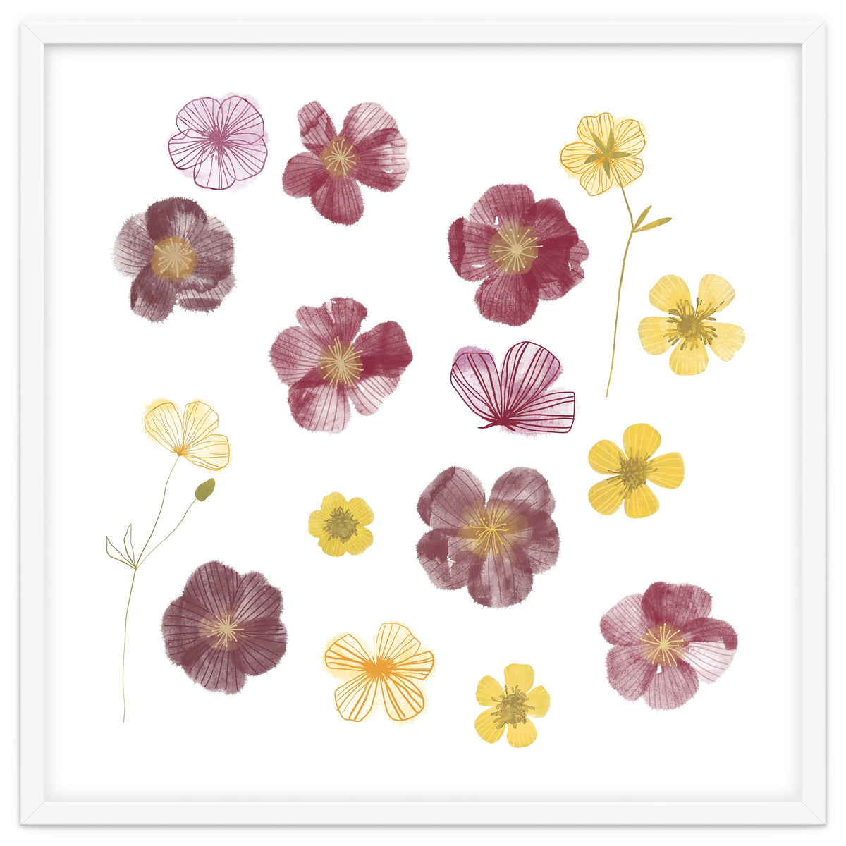 Pressed Flowers