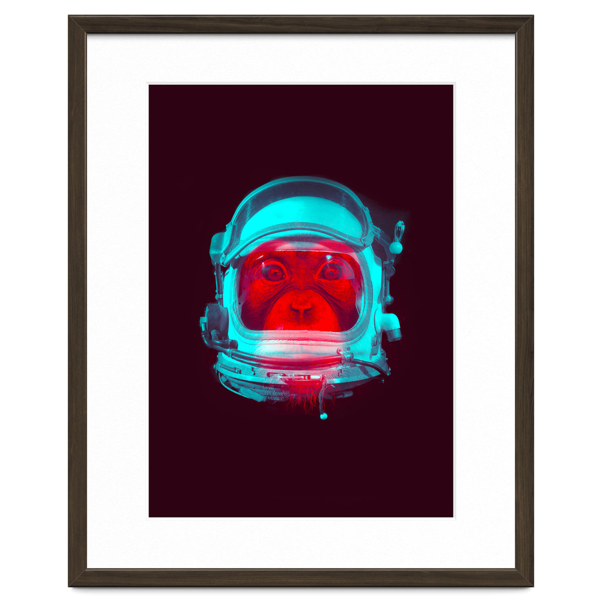 Astronaut
