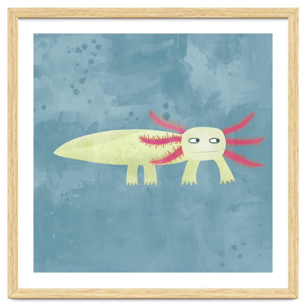 Axolotl