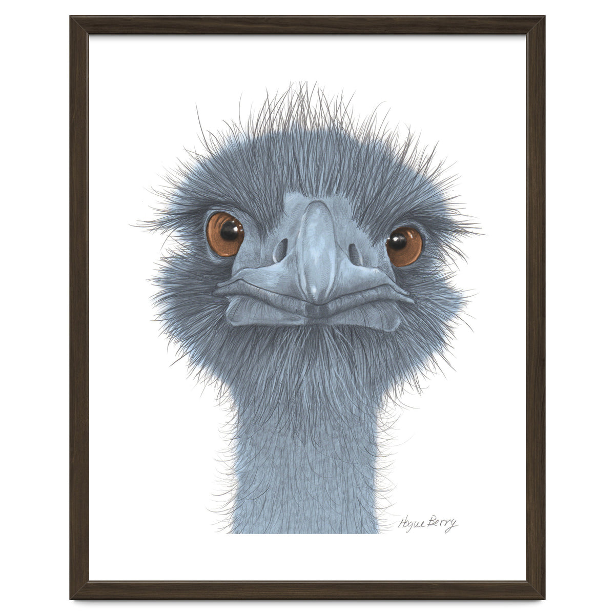 The Blue Emu