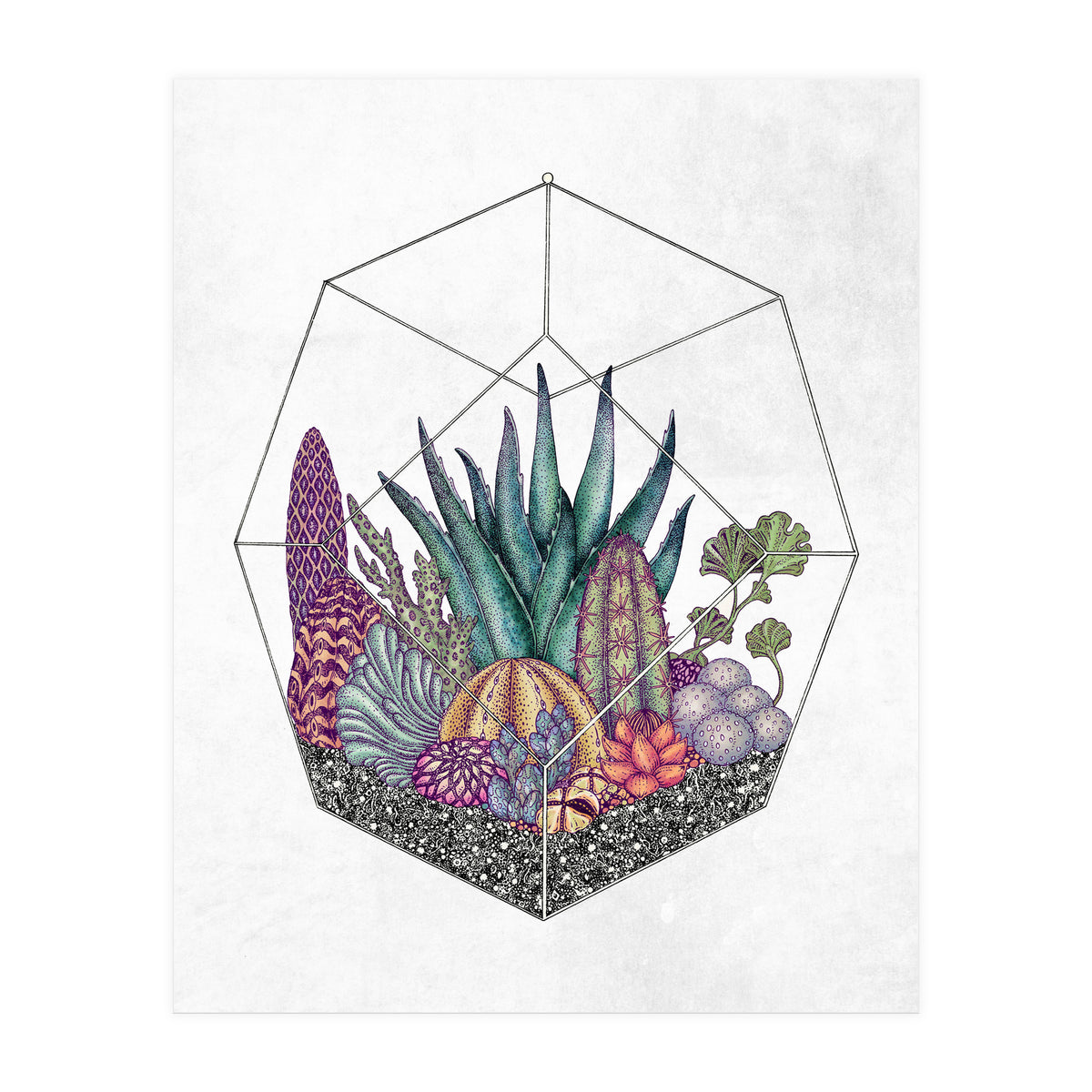 botanical geometria (Print Only)