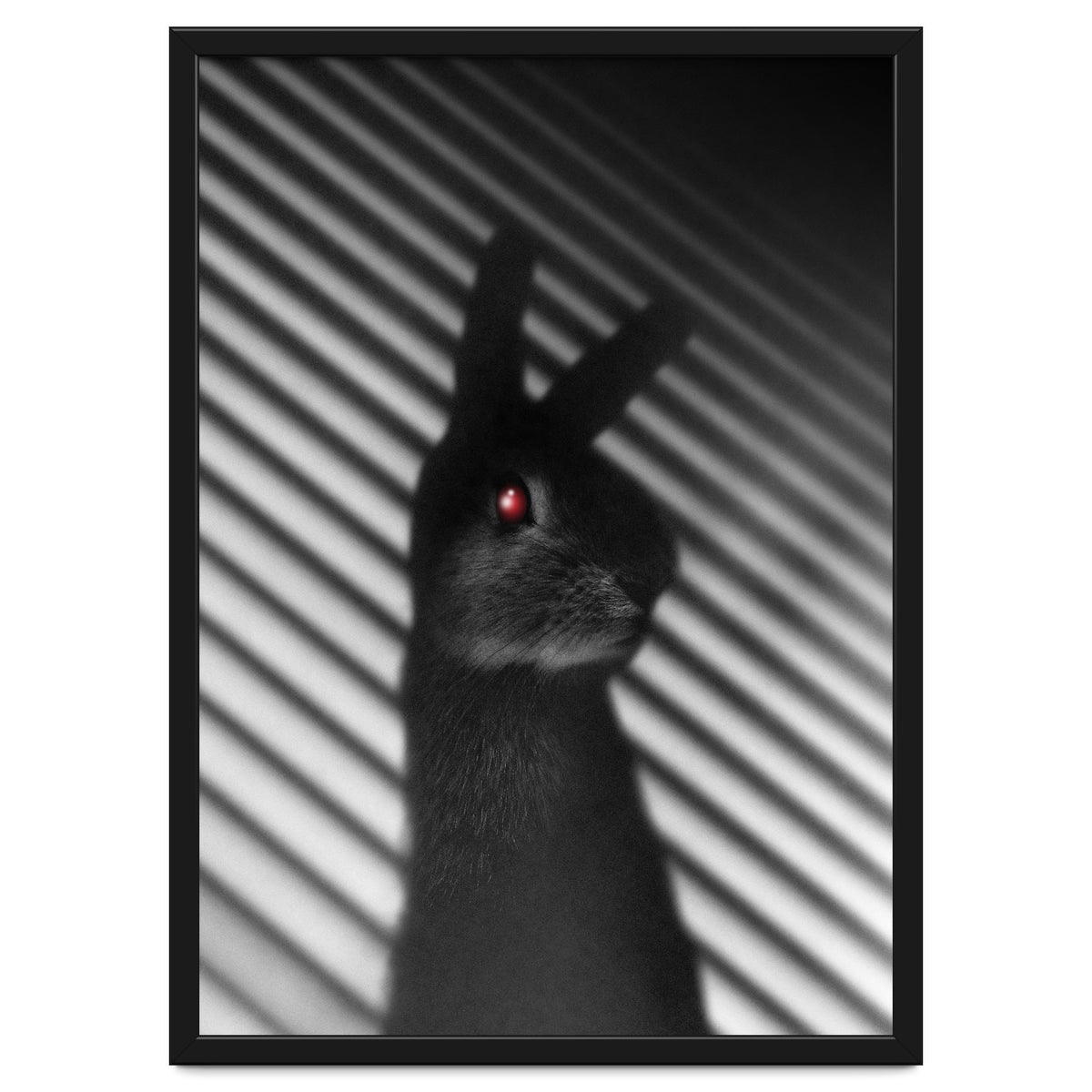 Shadow Bunny