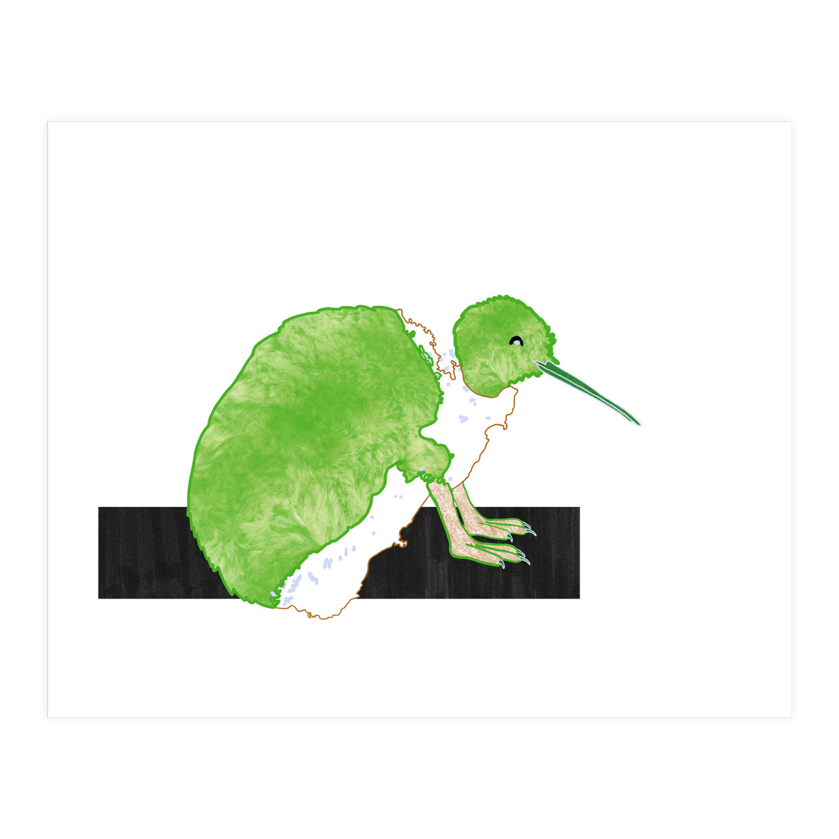 New Zealand Kiwi (Print Only)