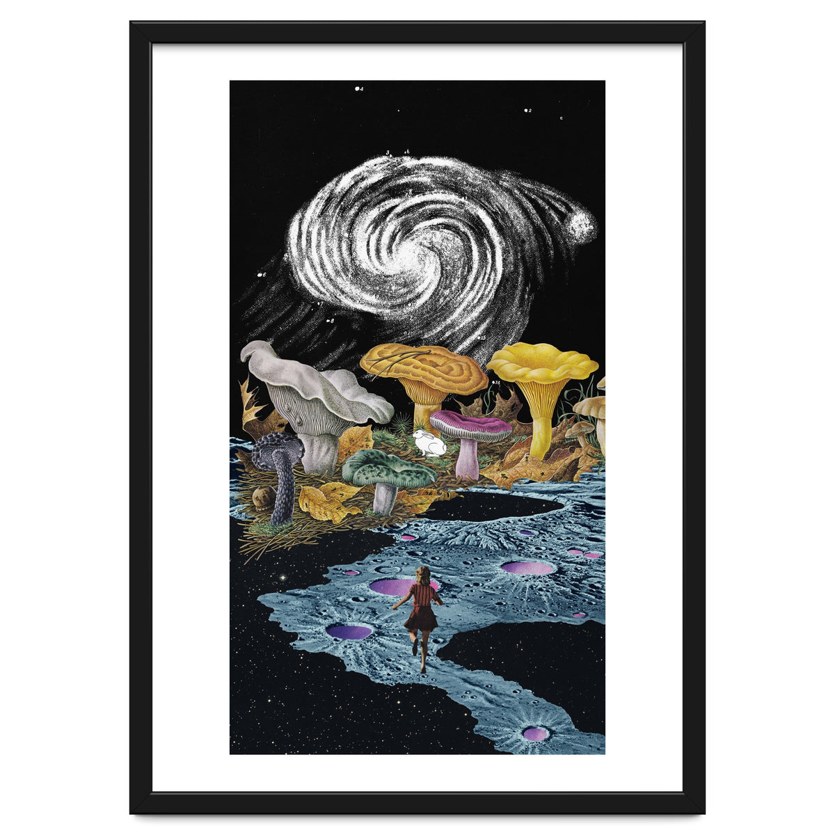 Follow The White Rabbit