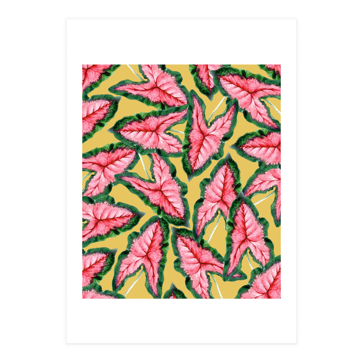 Caladium, Botanical Tropical Nature Plants, Vintage Bohemian Exotic Blush Leaves (Print Only)
