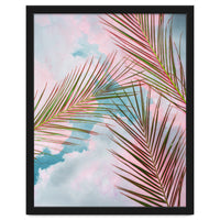 Palms + Sky