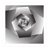 Monochrome Rose Spiral  (Print Only) thumbnail