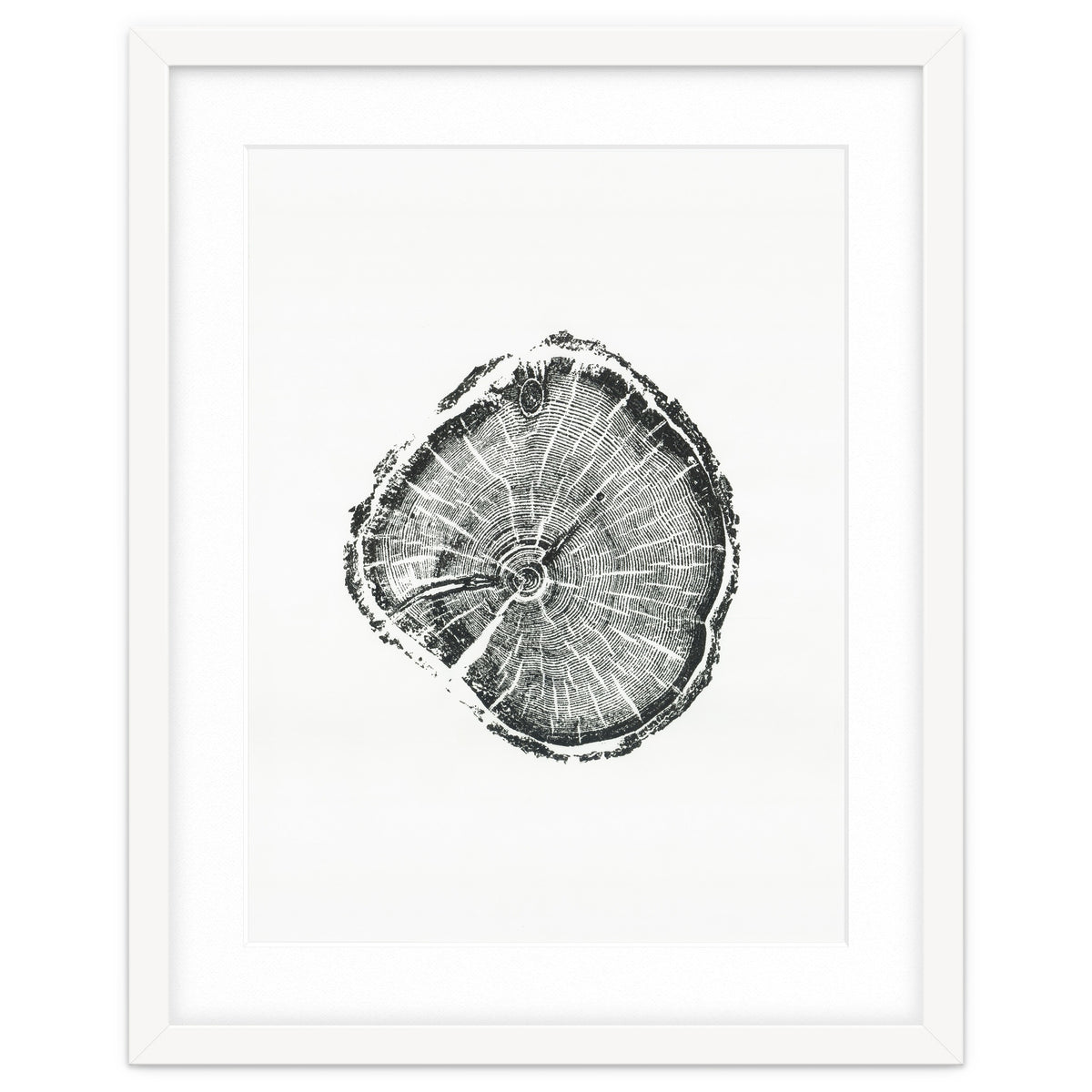 Tree Ring Print, Albion Basin, Utah, Pine Tree Print