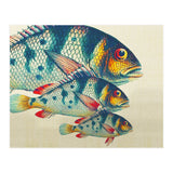 Fish Classic Designs 3 (Print Only) thumbnail