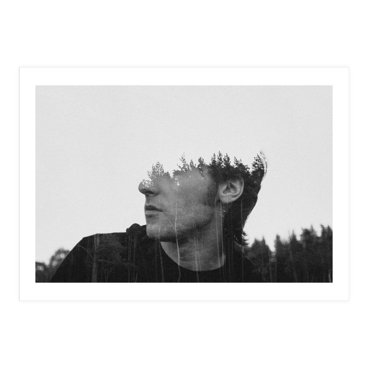 Environmentalist (Print Only)