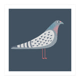Sarcastic Pigeon (Print Only) thumbnail