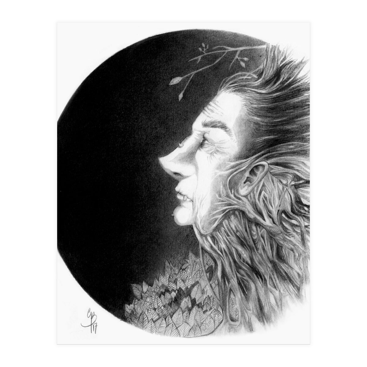 Old Man Tree (Print Only)