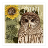 Sunflowers and Barred Owl (Print Only) thumbnail