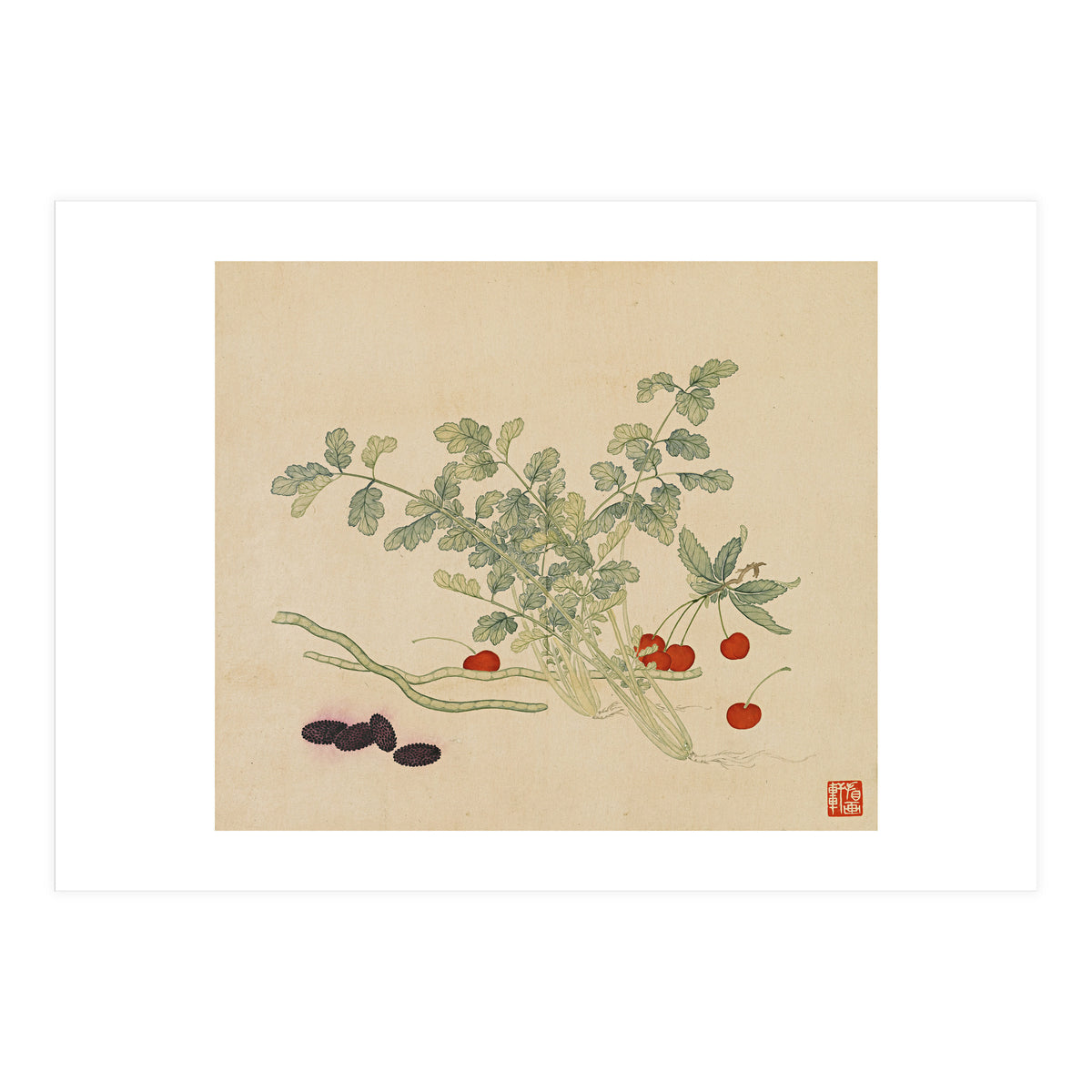 Wang Chengyu~flowers And Vegetables, Vegetables, Fruits, Beans, Red Beans, Cherries, Celery (Print Only)